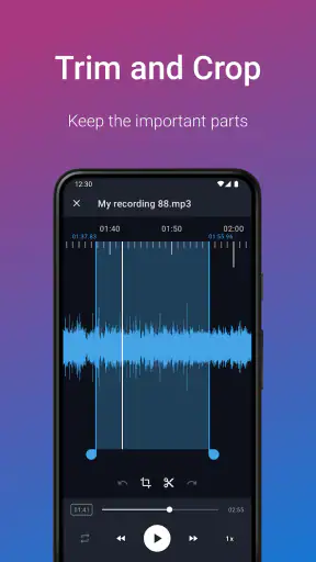 Easy Voice Recorder Pro screenshot