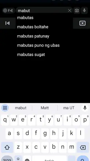 English Filipino Dictionary screenshot