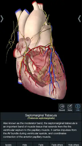 Essential Anatomy 5 screenshot
