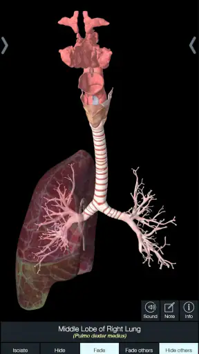 Essential Anatomy 5 screenshot