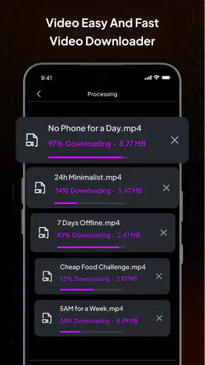 FlashDown: 4K Video Downloader screenshot
