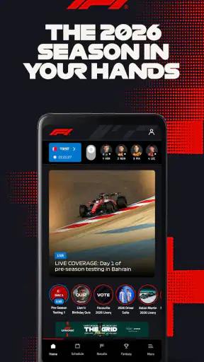 Formula 1® screenshot