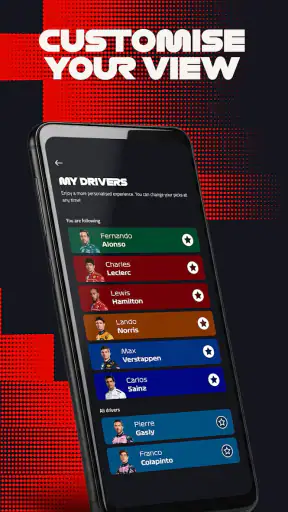 Formula 1® screenshot