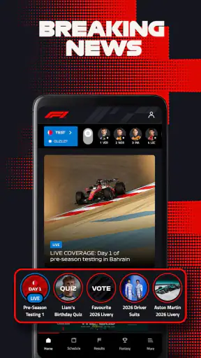 Formula 1® screenshot