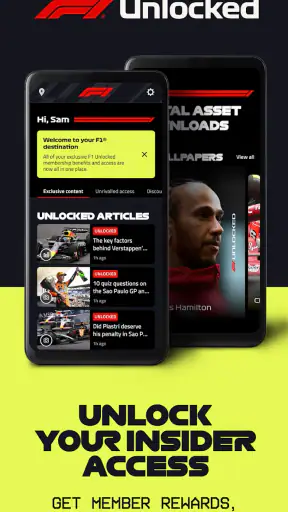 Formula 1® screenshot