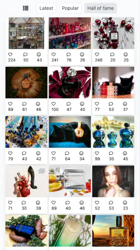Fragrantica Perfumes screenshot
