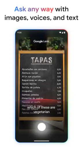 Google screenshot