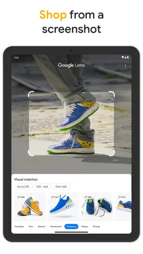 Google screenshot