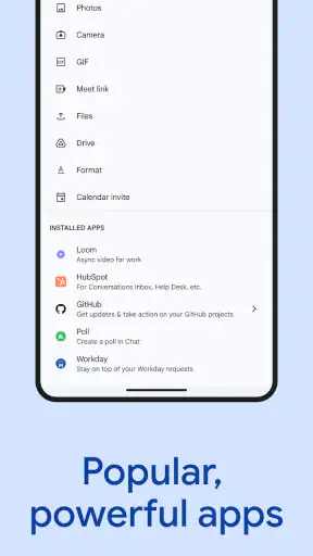 Google Chat screenshot