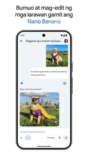 Google Gemini screenshot