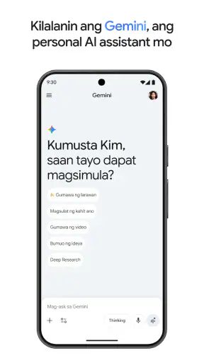 Google Gemini screenshot