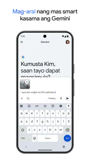 Google Gemini screenshot