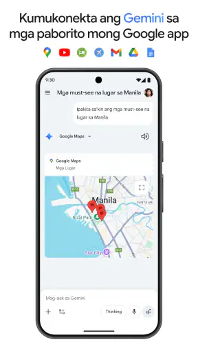 Google Gemini screenshot