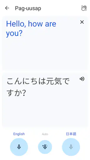 Google Translate screenshot