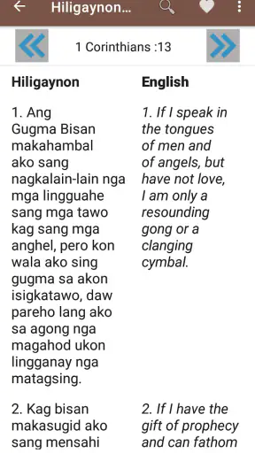Hiligaynon English Bible screenshot
