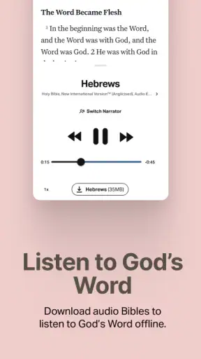 Holy Bible Offline NIV KJV App screenshot