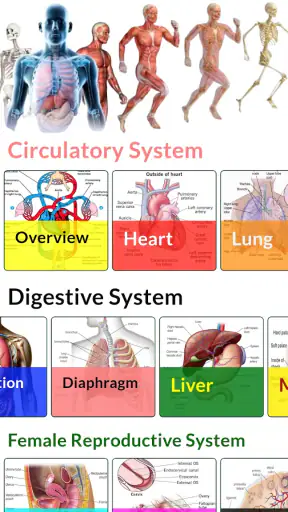 Human Anatomy and Physiology screenshot