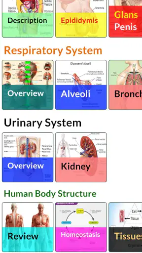 Human Anatomy and Physiology screenshot