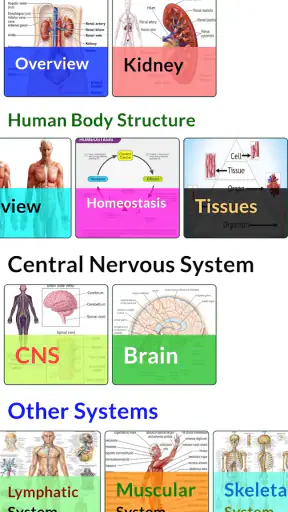 Human Anatomy and Physiology screenshot