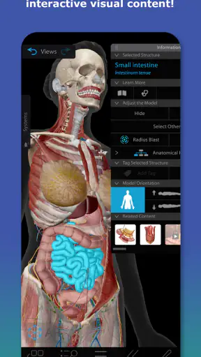 Human Anatomy Atlas 2026 screenshot