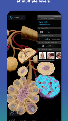Human Anatomy Atlas 2026 screenshot