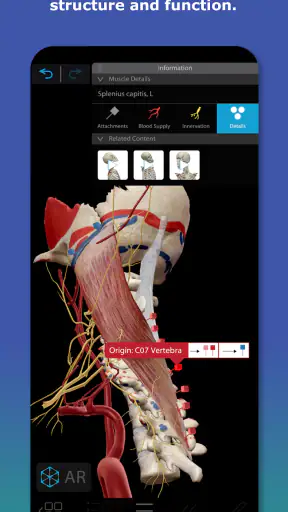 Human Anatomy Atlas 2026 screenshot