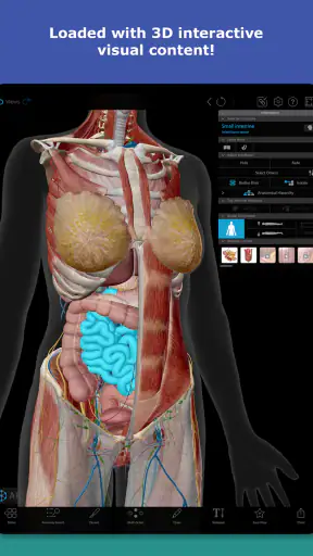 Human Anatomy Atlas 2026 screenshot