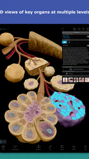 Human Anatomy Atlas 2026 screenshot