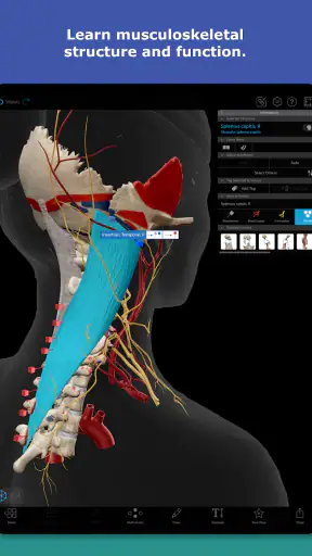Human Anatomy Atlas 2026 screenshot