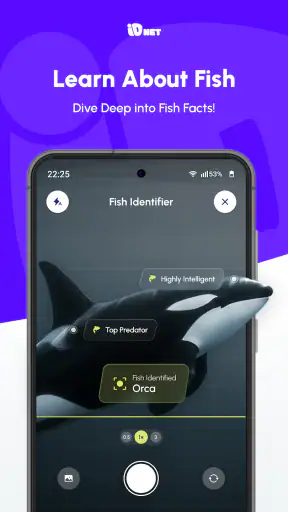 IDNet screenshot