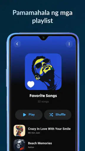 Lark Player:Music Player screenshot