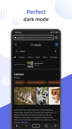 Lemur Browser - Extensions screenshot