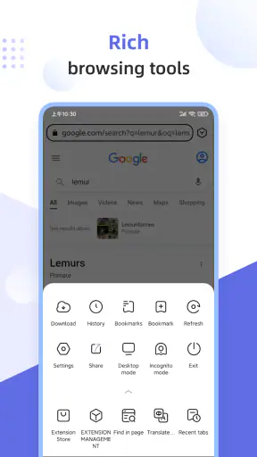 Lemur Browser - Extensions screenshot