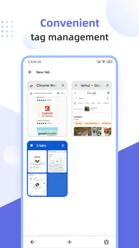 Lemur Browser - Extensions screenshot