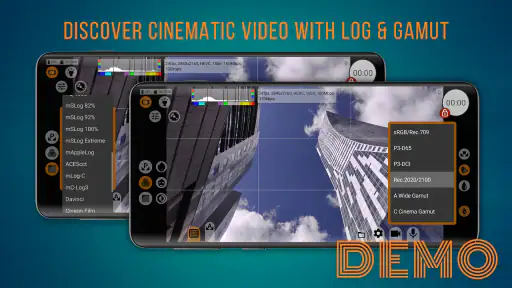 mcpro24fps demo - video camera screenshot