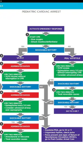MediCode: ACLS, BLS & PALS screenshot