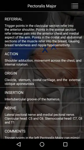 Muscle Trigger Point Anatomy screenshot