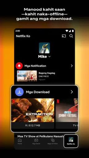 Netflix screenshot