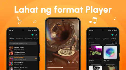 Offline Music Audio Insight screenshot