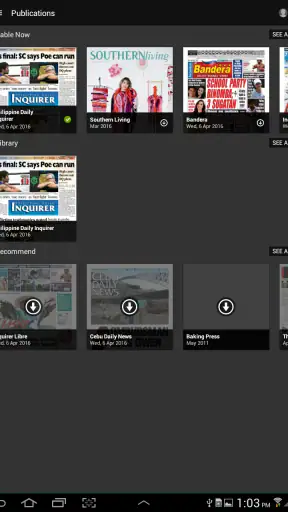 PDI E-Reader screenshot