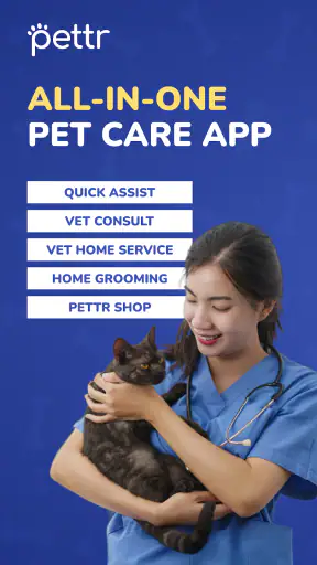 Pettr screenshot
