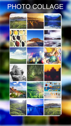 Photo Lab- Editor ng Larawan screenshot