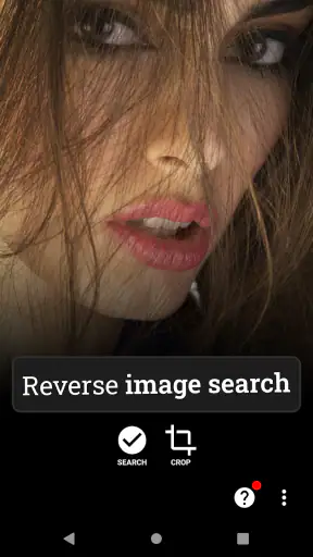 Photo Sherlock Search by photo screenshot