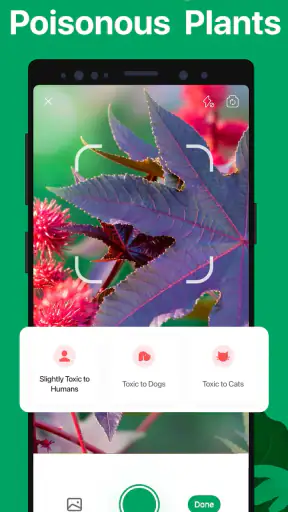 PictureThis - Plant Identifier screenshot