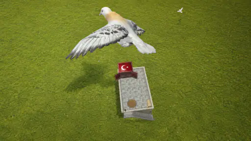 Pigeon Paradise screenshot