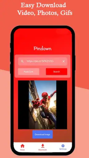 Pinterest Video Downloader screenshot