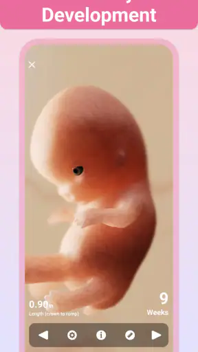 Pregnancy + | Tracker App screenshot