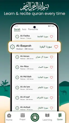 Qibla kumpas- Qibla direksyon screenshot