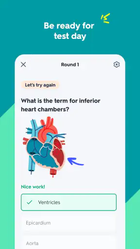 Quizlet: Study With Flashcards screenshot