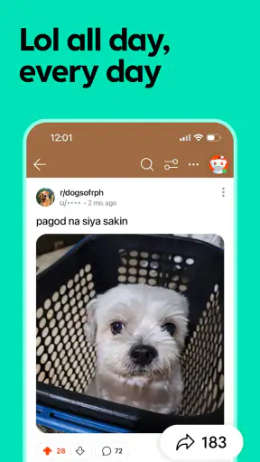 Reddit screenshot